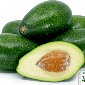 Aβοκάντο Zoutano , avocado ζουτανο τιμή