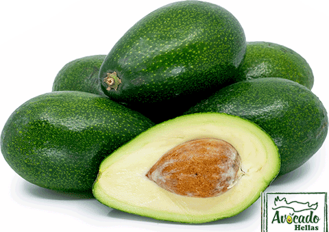 avocado-zoutano-crete-chania-greece-price