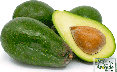 avocado-zoutano-greece-crete-chania-price