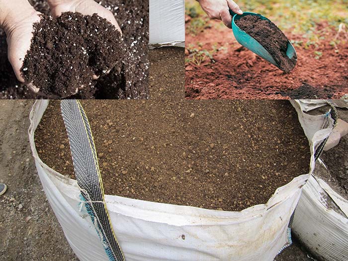 Compost for avocado cultivation