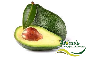 αβοκάντο, avocado, συσκευασία, εταιρεία, μεξικό