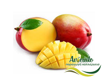 Μάνγκο, mango, καλλιέργεια, κόσμος, Σαουδική Αραβία, Μπαγκλαντές