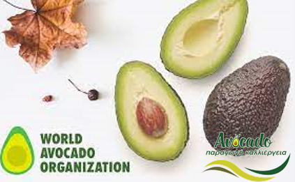 αβοκάντο, avocado, εξαγωγές, Παγκόσμιος Οργανισμός Αβοκάντο, Ευρωπαϊκή Ένωση
