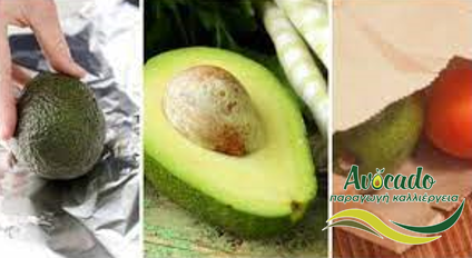 αβοκάντο, avocado, συμβουλές, ωρίμανση, κατανάλωση